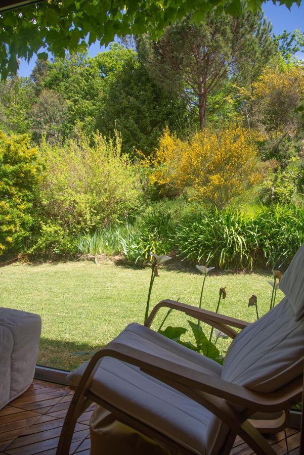 The Nest ~ Your Best Rest Sever do Vouga Extérieur photo