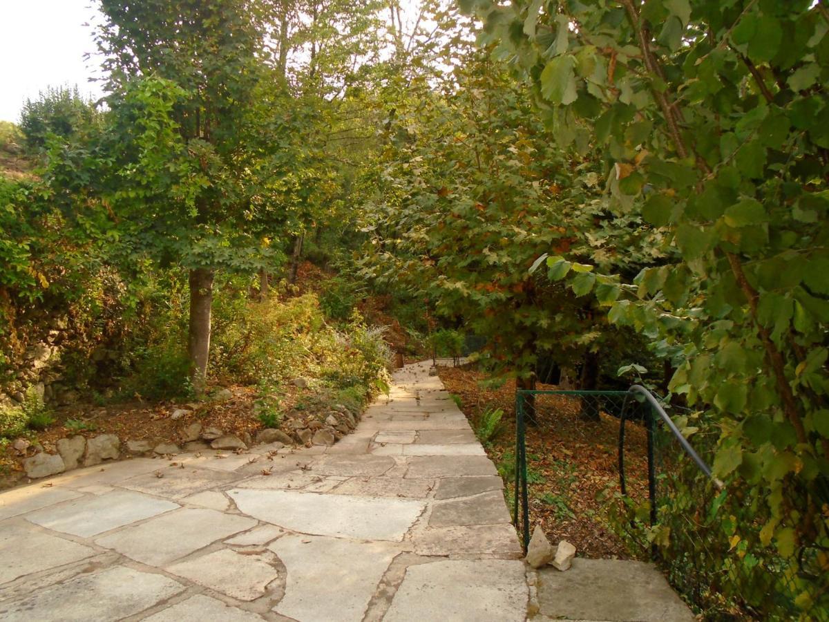 The Nest ~ Your Best Rest Sever do Vouga Extérieur photo