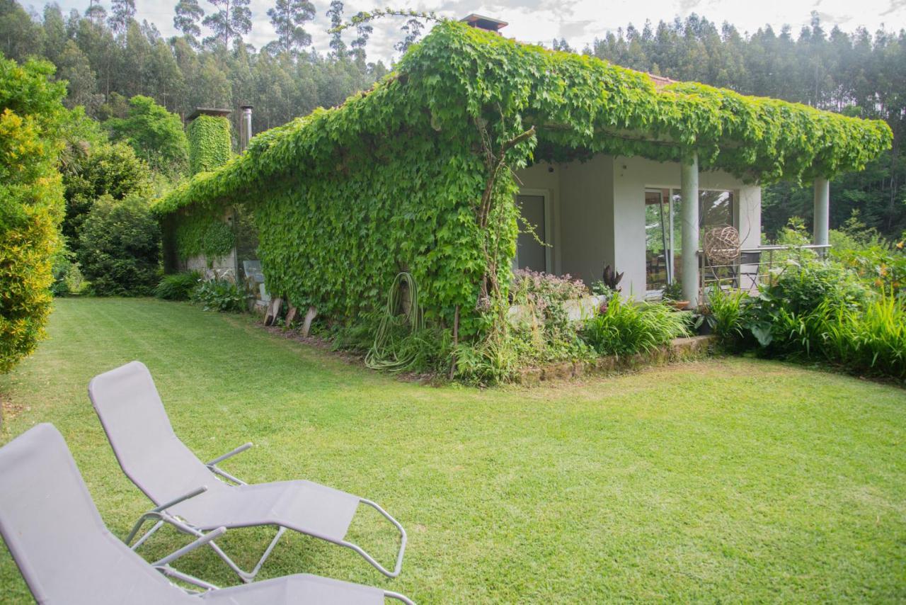 The Nest ~ Your Best Rest Sever do Vouga Extérieur photo