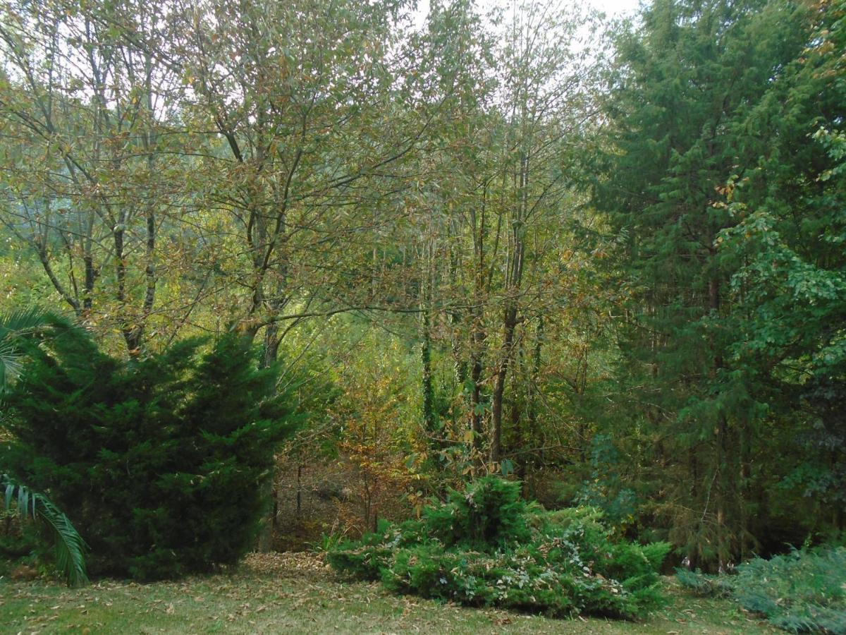 The Nest ~ Your Best Rest Sever do Vouga Extérieur photo