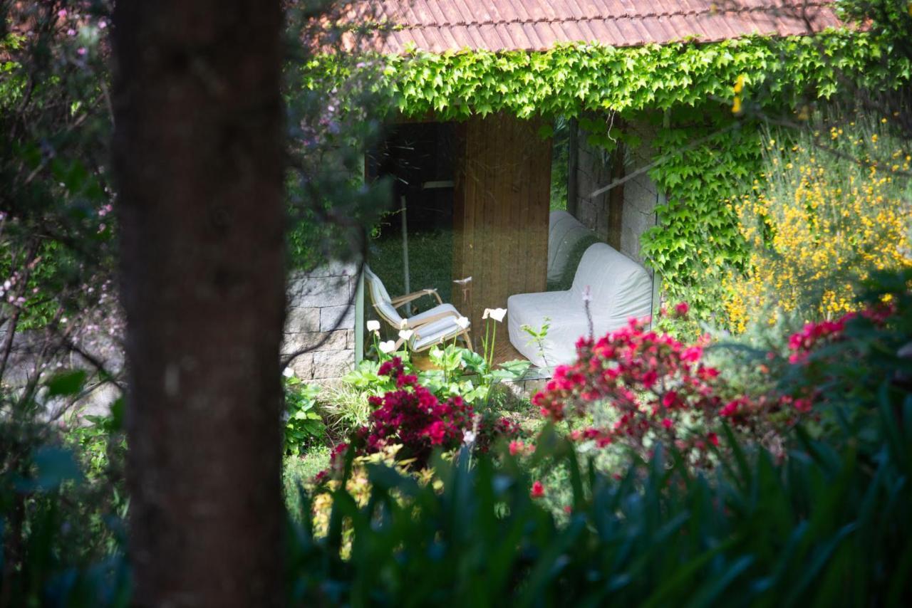 The Nest ~ Your Best Rest Sever do Vouga Extérieur photo