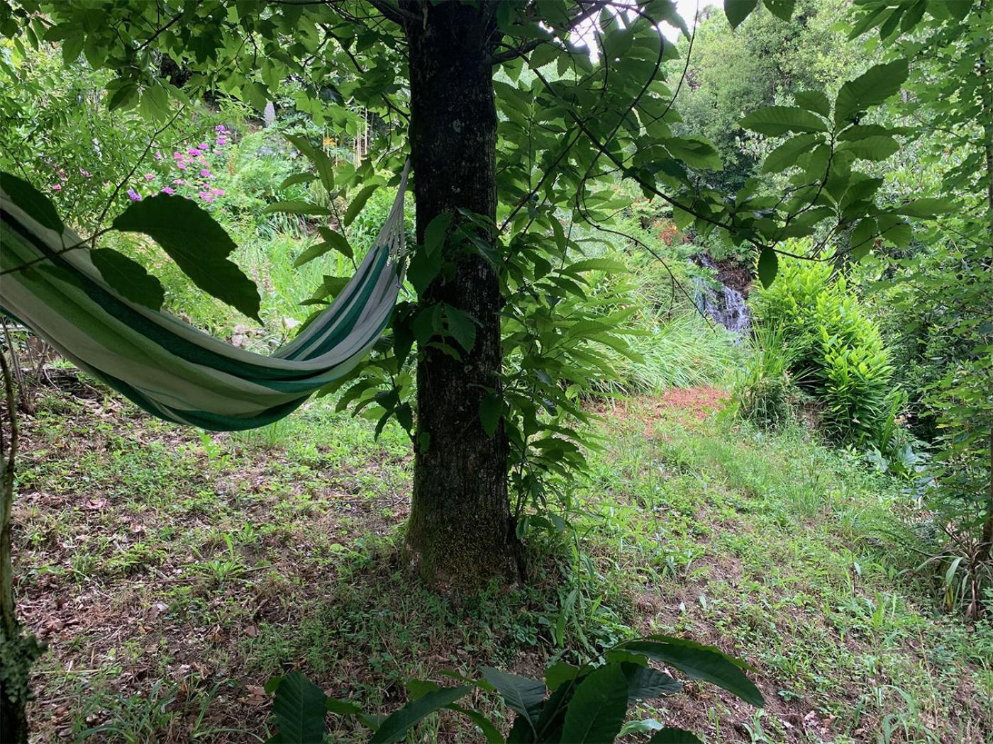 The Nest ~ Your Best Rest Sever do Vouga Extérieur photo